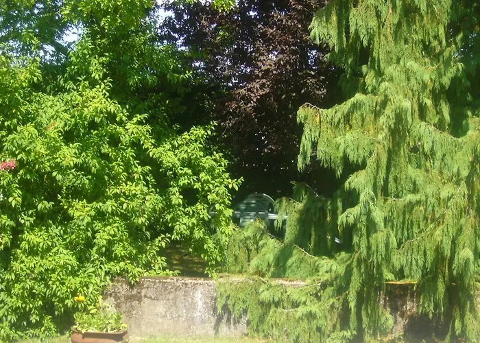 게스트하우스 Le Joli Fou Rémilly